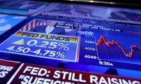 N蓝宇大涨280% 触发临停
