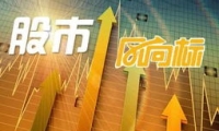 华金证券给予协鑫能科买入评级，2024年扣非净利润增长，能源服务增速亮眼